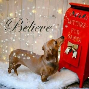 Meet your Posher, Ann